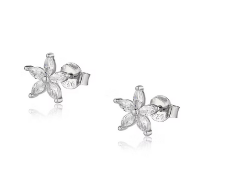 925 s. silver earrings (SKU SE25003)