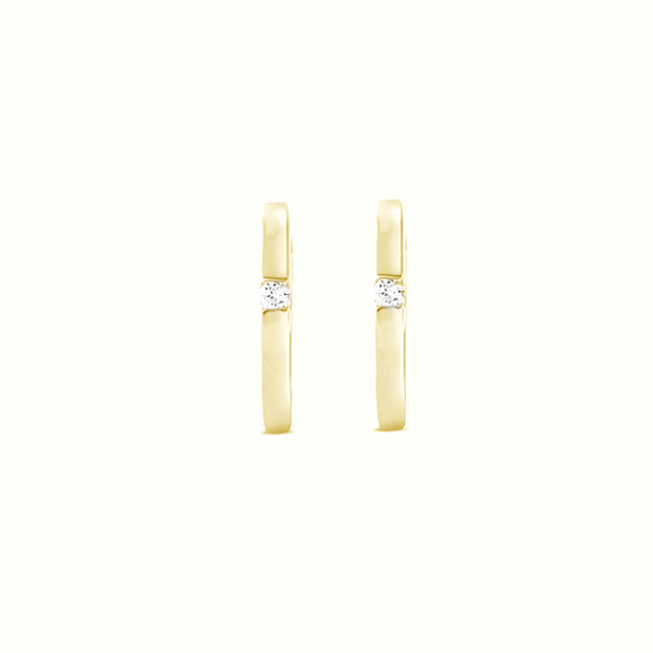 10K Yellow Gold 2=0.04RBC  DIAMOND  HUGGIE EARRING (SKU E23028)